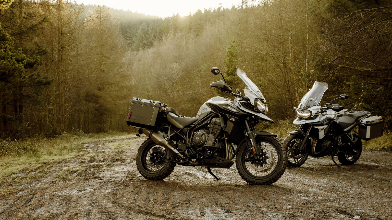 Tiger 1200 SE Joint